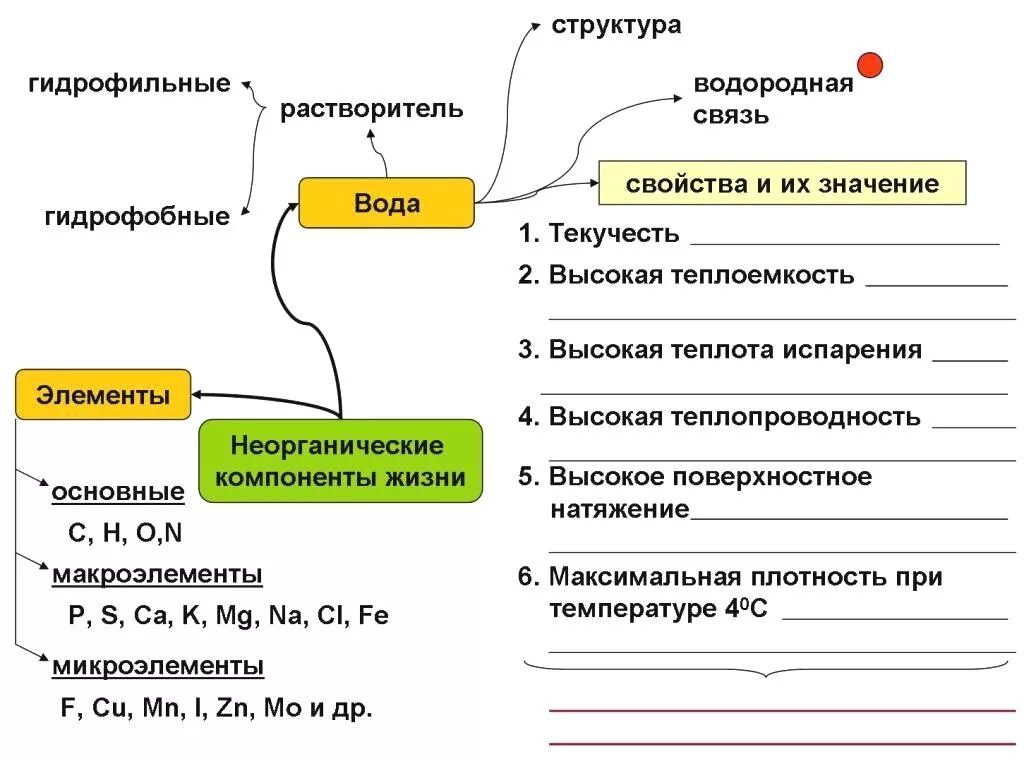 Конспект химический состав клетки 6. Конспект химический состав клетки 6