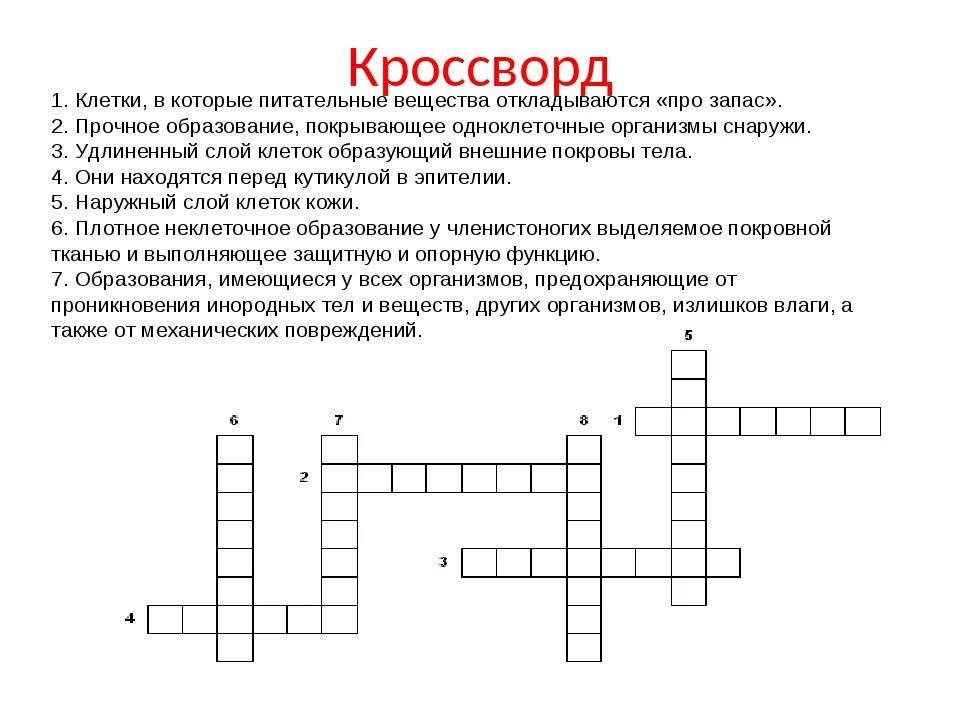 Кроссворд на тему клетка по биологии 5 класс. Составьте кроссворд по теме «клетки, ткани, органы, системы органов».. Кроссворд по биологии по теме клетка. Кроссворд строение клетки. Кроссворд живые организмы 5 класс