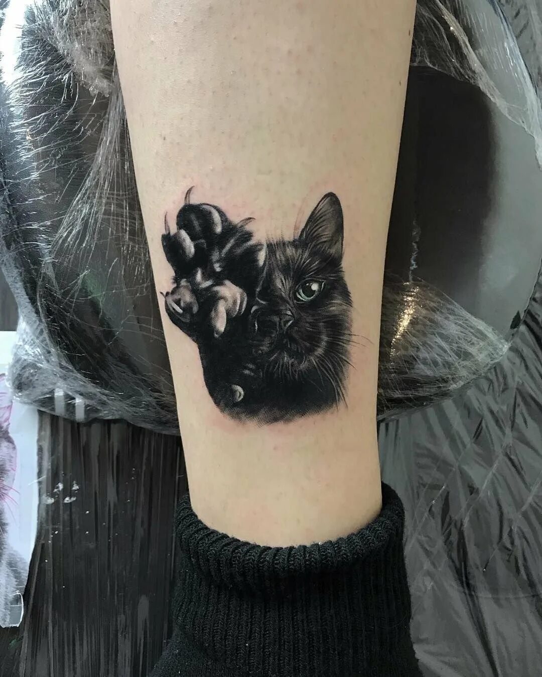 Фото тату кошек. Тату кошка. Тату кошка. Тату кошка. Тату кошка на руке.