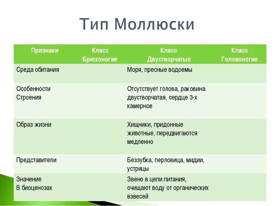 Структура образа животных