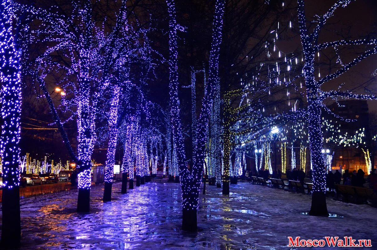 измайловский парк новогодняя иллюминация. в каких парках будет новогодняя ночь. иллюминация на тверском бульваре. никитский бульвар парк вечер. новогодний парк.