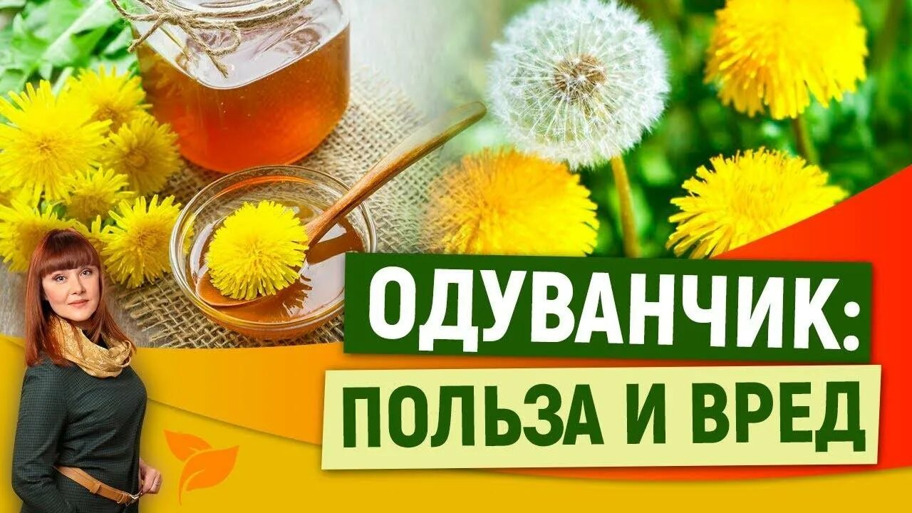 Чем полезны цветы одуванчика для организма. Чай из одуванчиков. Полезные одуванчики. Одуванчик здоровье. Полезность одуванчика.