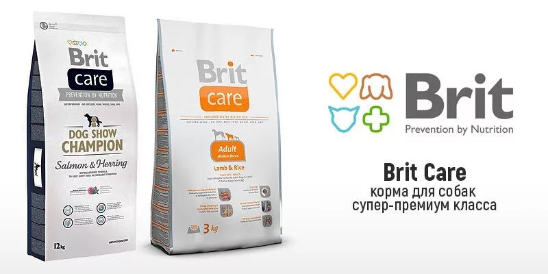Brit сухой корм для крупных собак. Корм brit care для собак. brit care для собак щенок. корм для собак брит супер премиум класса. брит корм для собак супер премиум класса холистик.