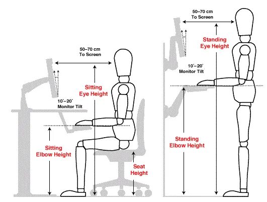 Эргономика человека. Эргономика в дизайне. Эргономика сидящего человека. Плоский манекен эргономика.