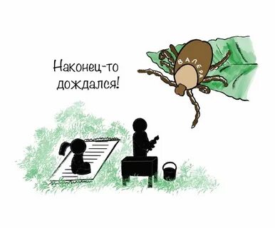 Клещ валера