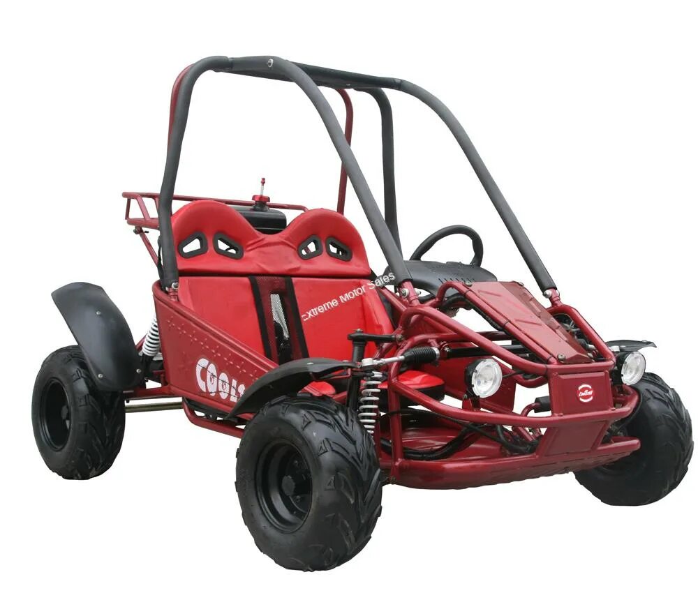 Хаги баги. Хагги багги. Багги из нивы 4х4. Losi buggy 1/8. Модель «vita buggy 7900»,.