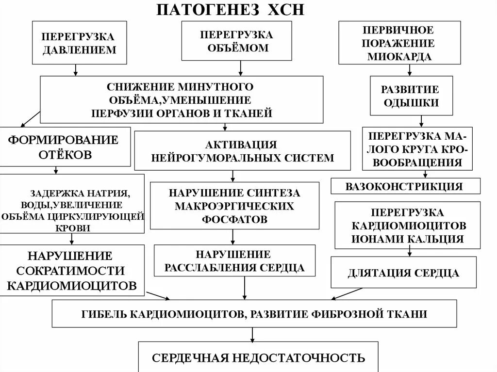 Патогенез развития хронической сердечной недостаточности. Механизм развития сердечный недостаточность. Патогенез развития острой сердечной недостаточности. Схема патогенеза острой сердечной недостаточности. Сердечная недостаточность у детей клинические