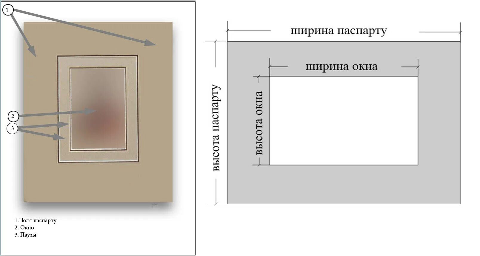 Паспарту для рисунка а3