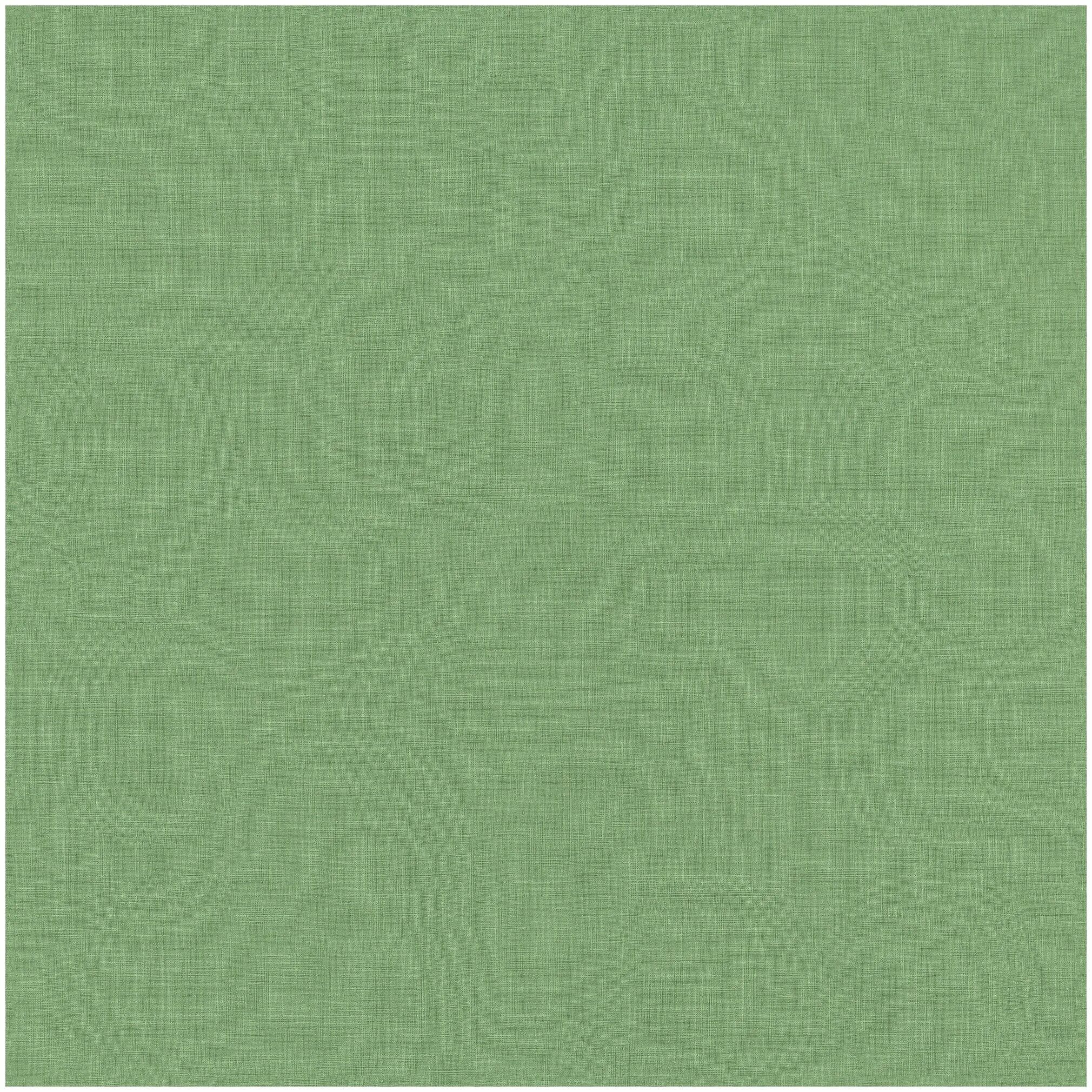 серо болотный. болотно серый цвет. оливковый фон. ткань кашемир 230. Rasch 960716.