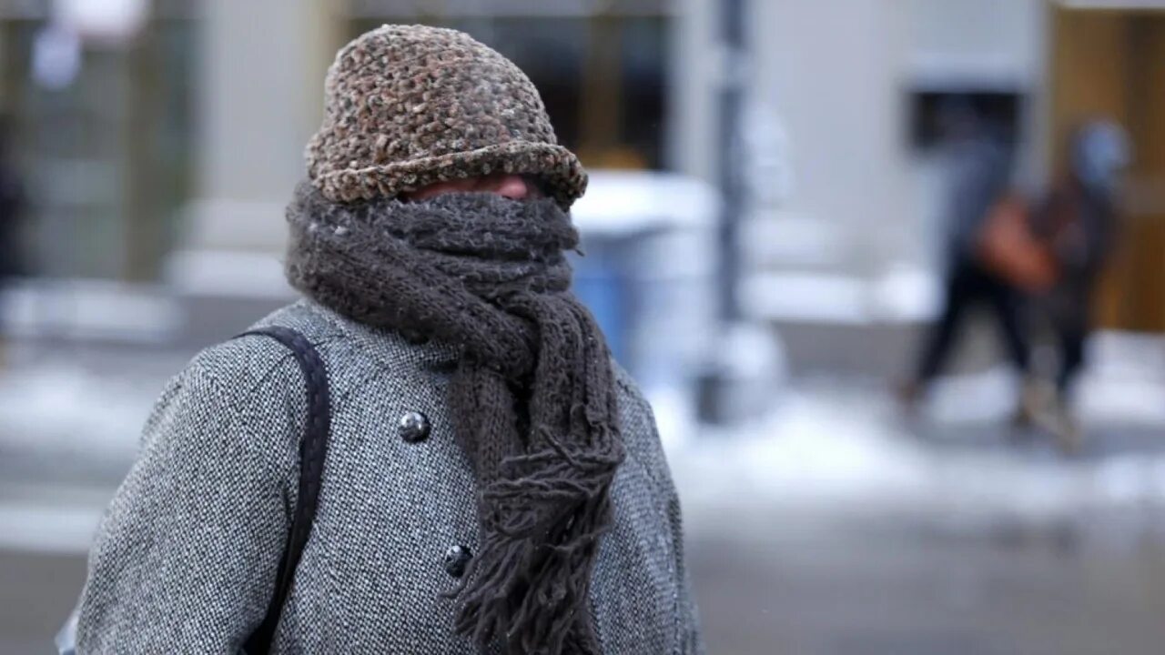 Очень сильно холодно. Кутается в шарф. Тепло одет. Закутанный в шарф. Тепло одеваться.