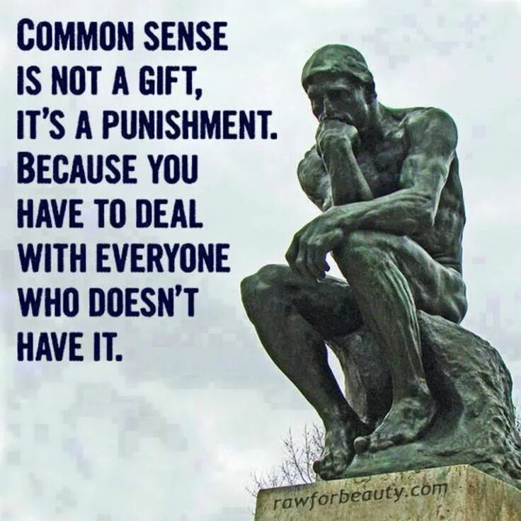 Common sense is not that common. Common sense. common sense quotation. common sense is not common practice фото. common sense isn&#039;t very common.