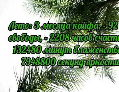 Начало года фразы
