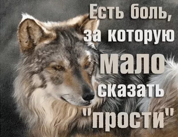 Самый страшный враг человеку. Высказывания про врагов со смыслом. Цитаты про сомнения в человеке. Причинять боль. Чем ниже человек душой тем выше.