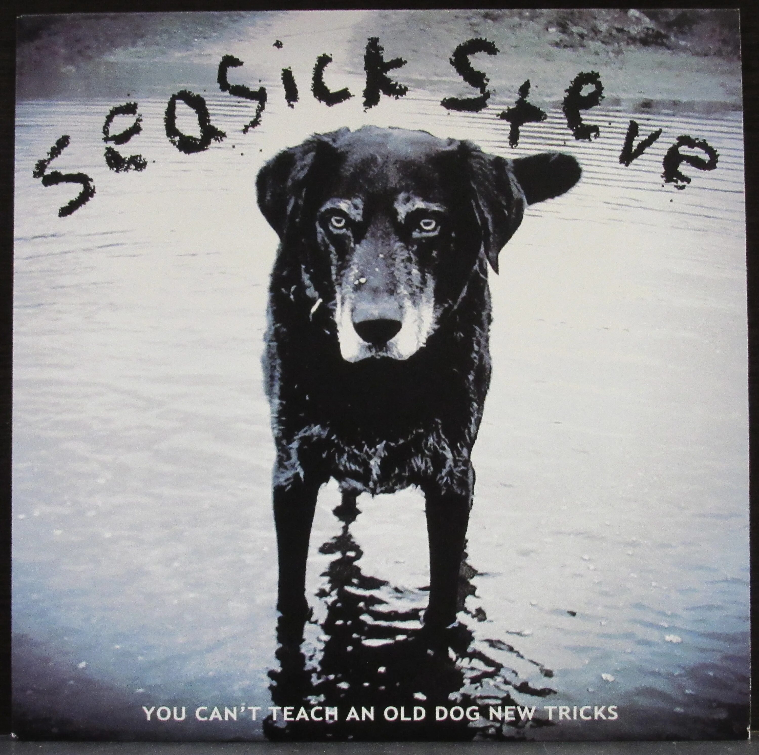 Old dog new tricks. Seasick Steve you can't teach an old Dog New Tricks. Teach an old Dog New Tricks. Seasick Steve cant teach.