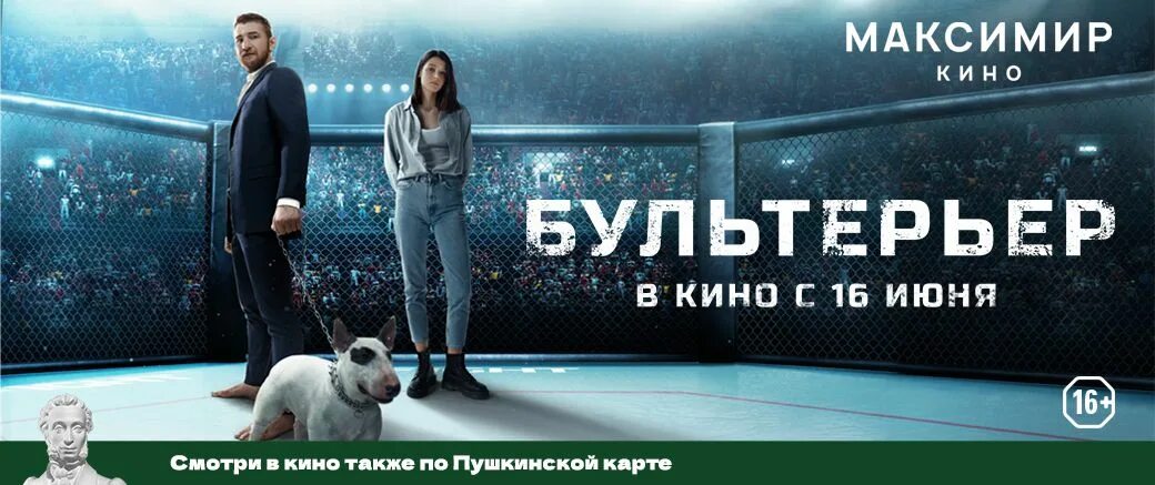 Кто играет главную роль в фильме бультерьер Милый друг: Елена Борщёва, Пётр Буслов и Иван Макаревич лайфстайл 17 июня 20