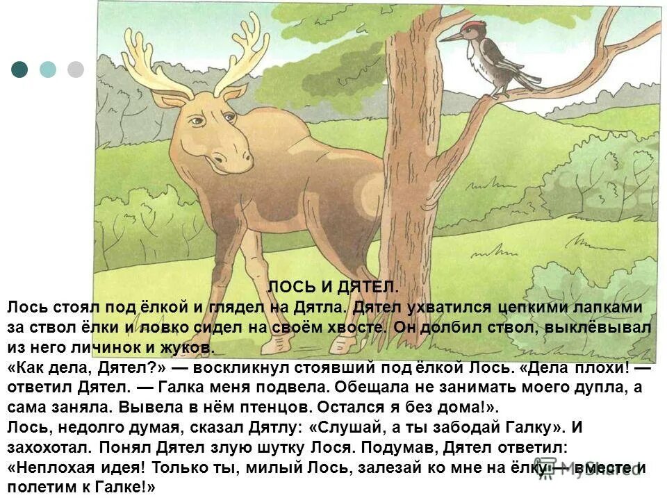 книга я лось. лось для дошкольников. чаплина рассказы о животных. стих про лося для детей. лось читать.