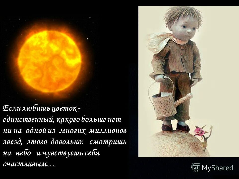 единственный из многих. единственный из многих. в клястицах. единственный из многих. единственный из многих.