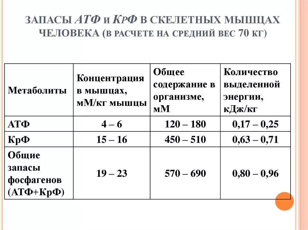 Запас энергии атф. Запасы АТФ В скелетных мышцах человека (расчет на среднюю массу 70 кг)?. Содержание АТФ В мышцах. Запас АТФ В мышцах хватает на. Содержание АТФ В организме человека.