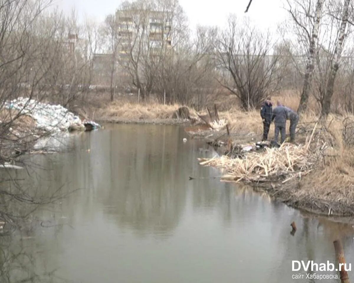 Река гнилая падь. Река гнилая луганская область. Турья (приток припяти). Река гнилая оржица. Тухлая река.
