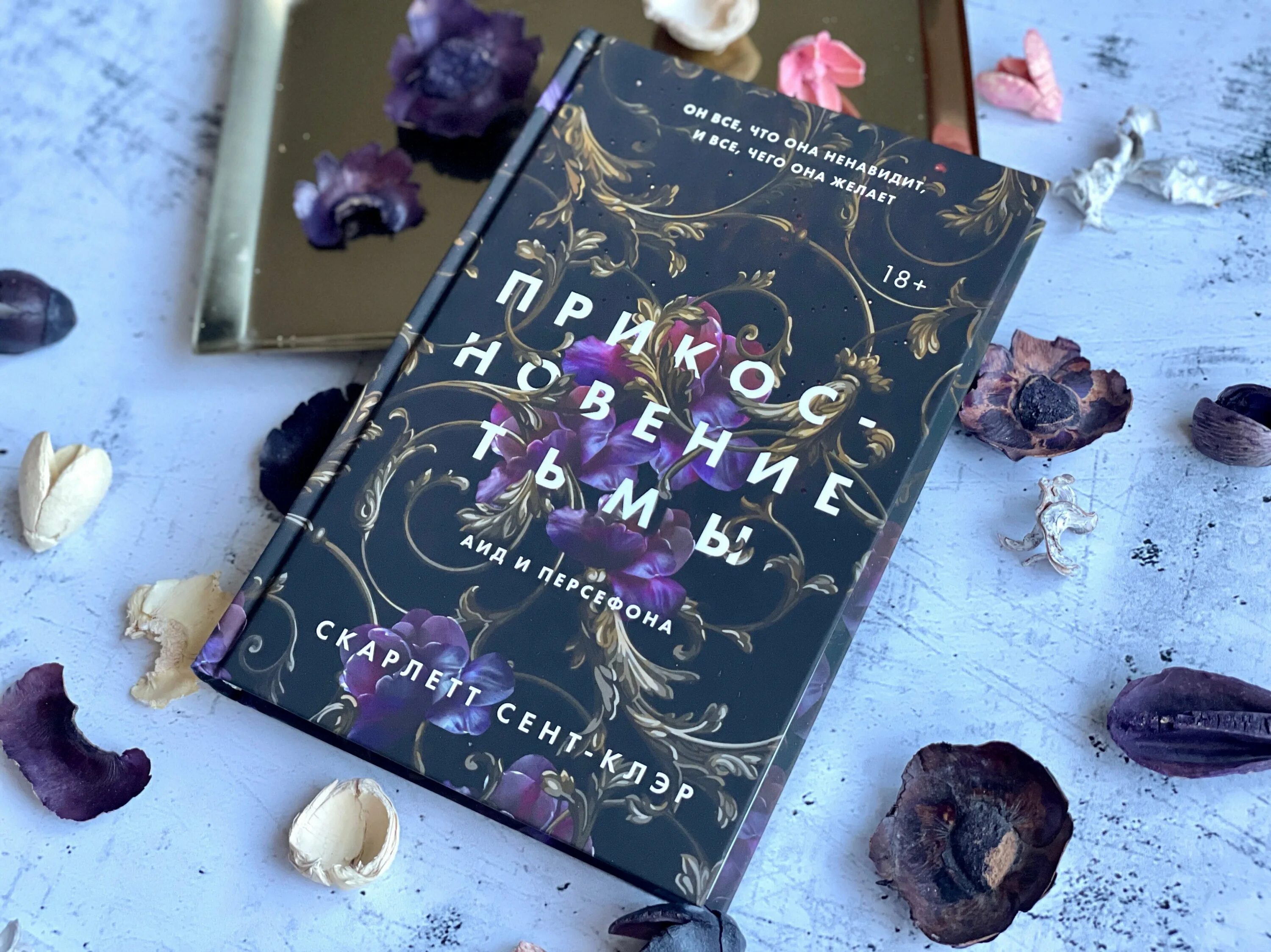 Прикосновение разрушения книга. Аид прикосновение тьмы. Прикосновение тьмы скарлетт сент-клер арты. Скарлетт сент-клэр - прикосновение тьмы. Скарлет сент клэр книги.