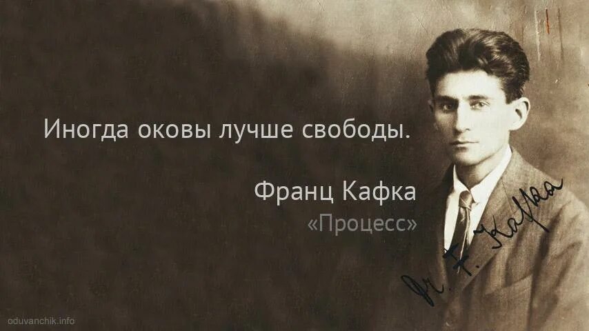 Процесс цитата. Процесс цитата