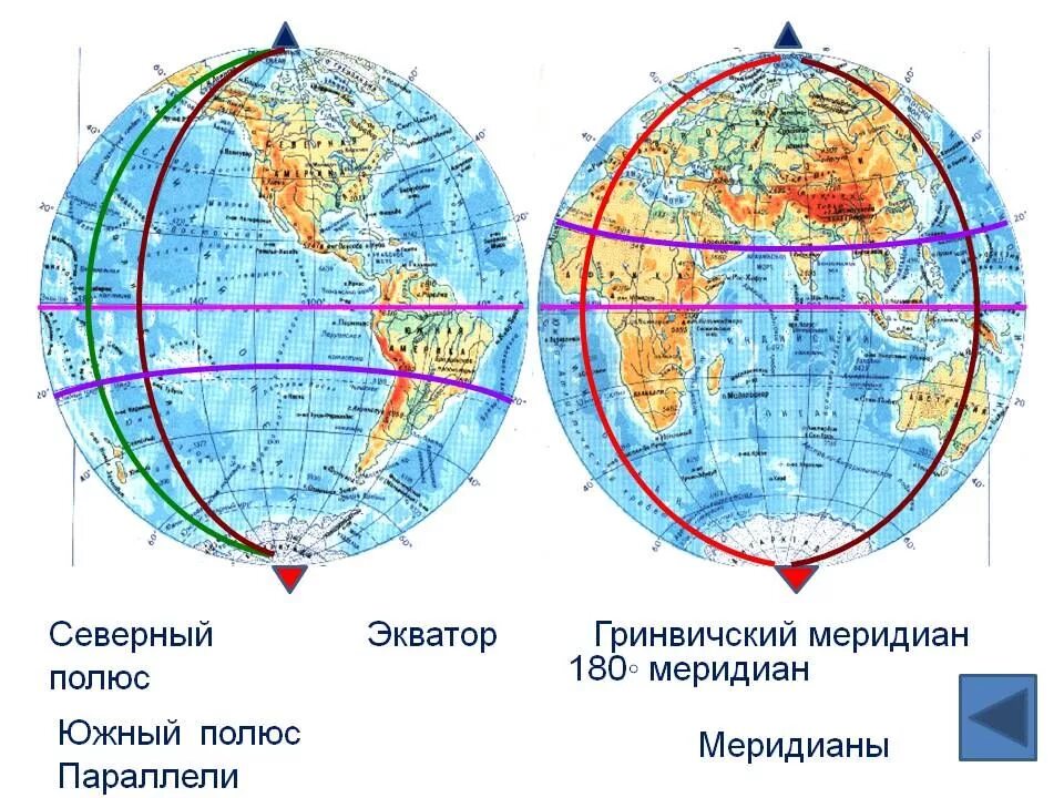 В каком полушарии встречается белый. Экватор Гринвичский Меридиан Меридиан 180 градусов. 0 И 180 Меридиан на карте полушарий. 180 Меридиан на карте полушарий. Гринвичский и 180 меридианы.