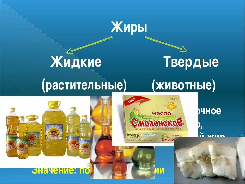 Почему жир жидкий. Растительные жиры Твердые и жидкие. Жидкие жиры. Жидкие и Твердые растительные масла. Жидкие животные жиры.