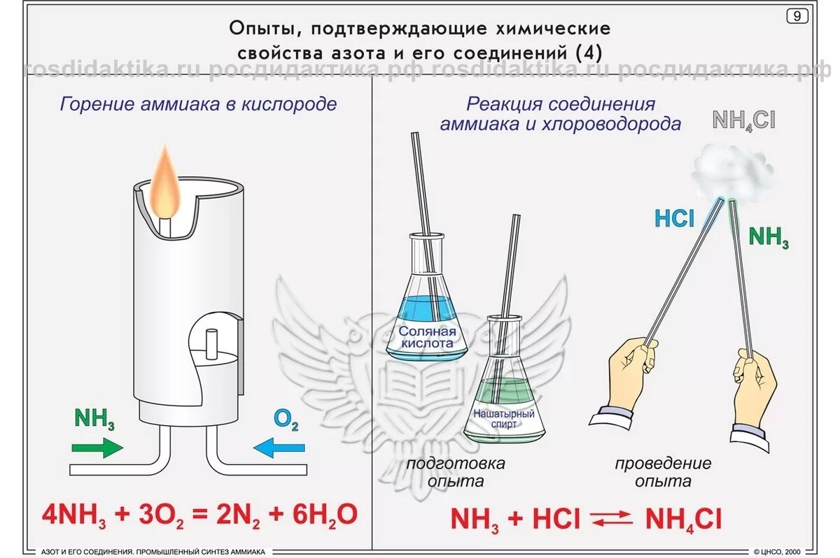 Азот и его соединения. Промышленный Синтез аммиака (16 шт). Сгорание аммиака реакция. Опыты с азотом по химии. Реакция горения аммиака в кислороде. Запишите реакцию кислорода с азотом