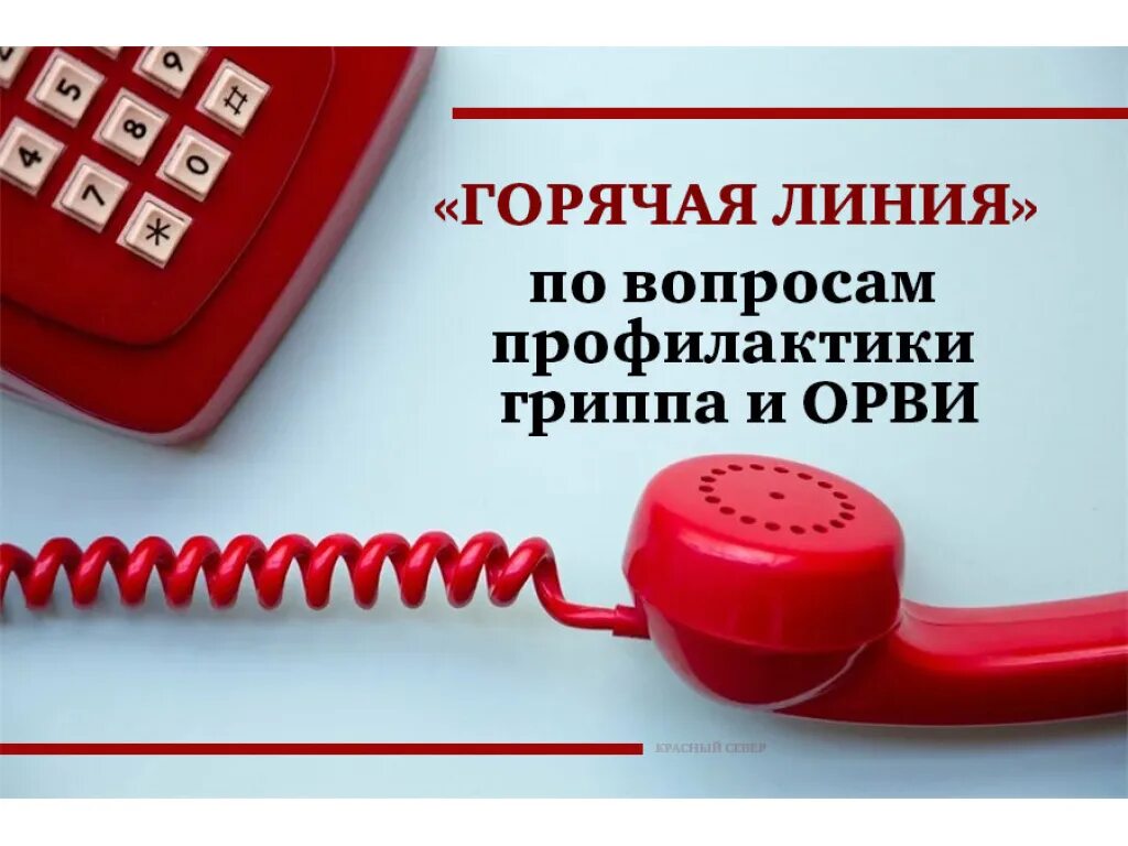 Телефон горячей линии для населения. Телефон горячей линии для населения