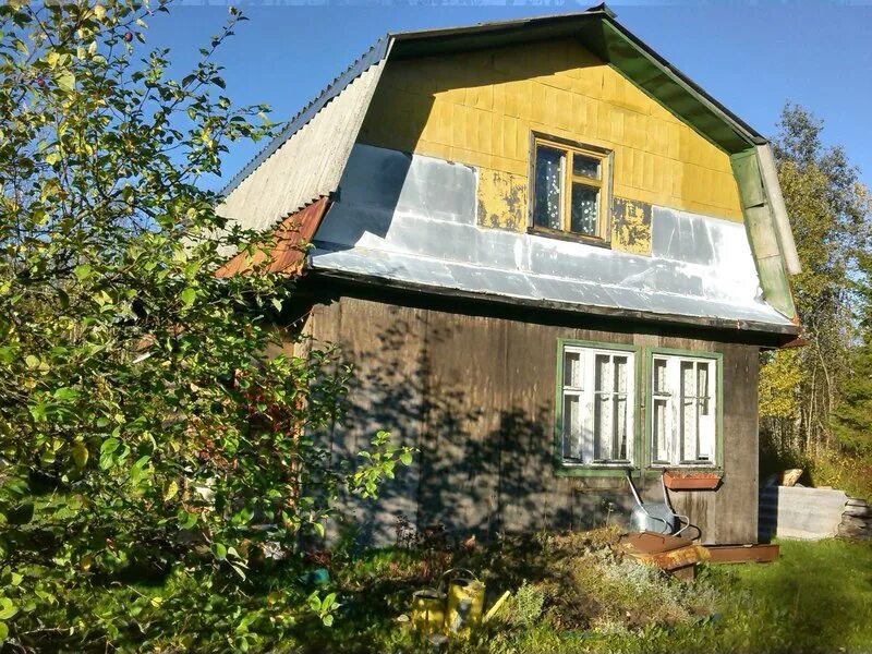 Дачи в пупышево ленинградской. Дачи в пупышево ленинградской. Дачи в пупышево ленинградской. Пупышево ленинградская область. Пупышево фото.
