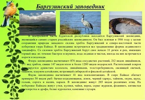 Заповедник сообщение 5 класс однкнр