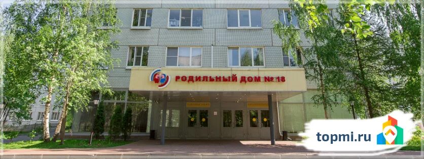 Перинатальный центр 1 солидарности 6. Проспект солидарности 6 роддом. роддом 18 на электрозаводской москва. родильный дом 18 санкт-петербург. перинатальный центр спб 18 роддом.