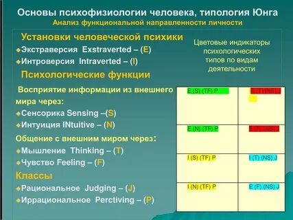 Типология человека
