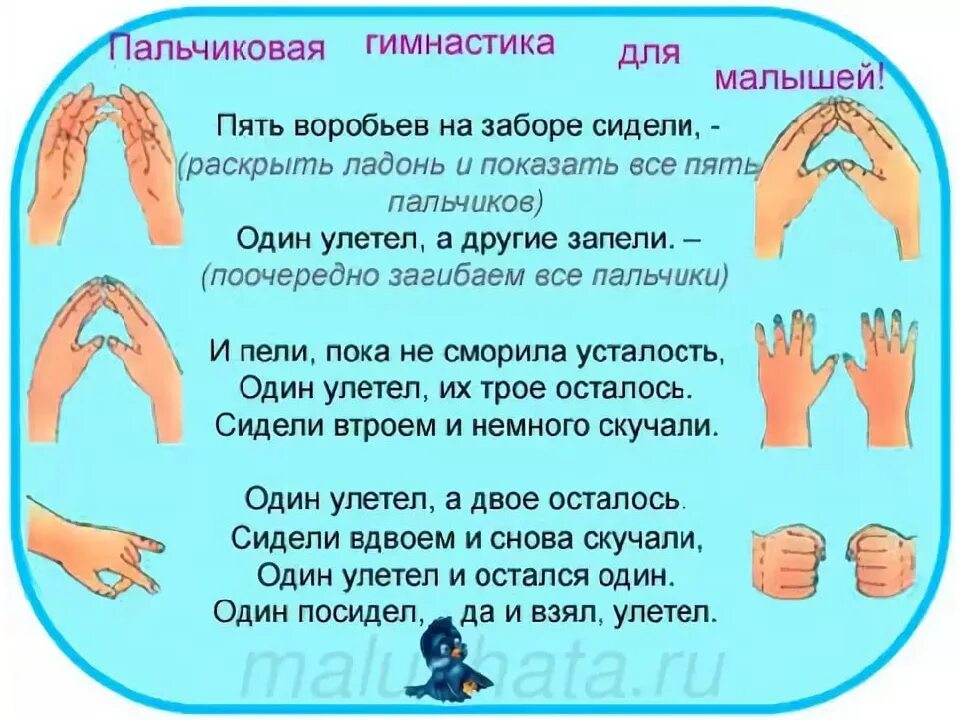 Разминка для 2 лет. Пальчиковая гимнастика зарядка для пальчиков. гимнастика для пальчиков для детей 2-3 лет. упражнения пальчиковой гимнастики для дошкольников. гимнастика для пальцев пальчиковая игра.