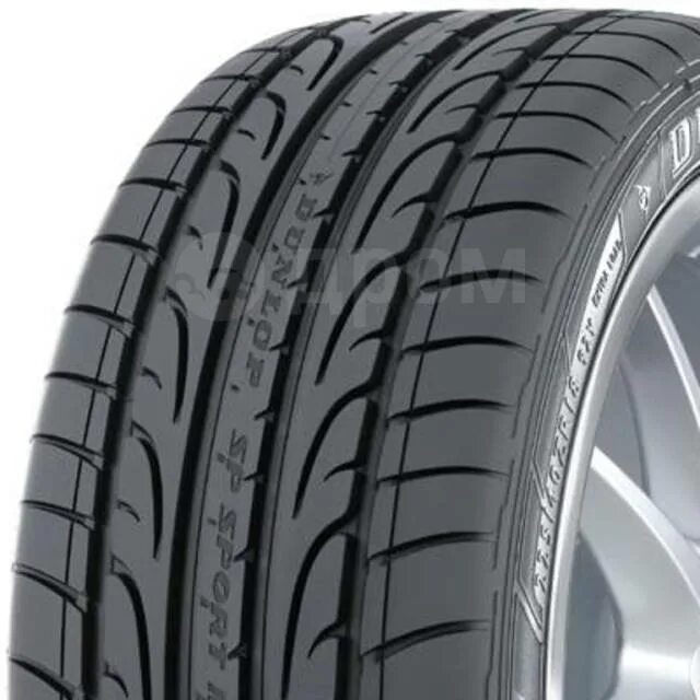 Данлоп лето купить. Dunlop SP Sport Maxx 205/55 r16. Данлоп спорт Макс 205/55/16. Dunlop (Данлоп) SP Sport Maxx 205/55 r16 91w. Dunlop Sport Maxx 205/55 r16 летняя SP 91w.