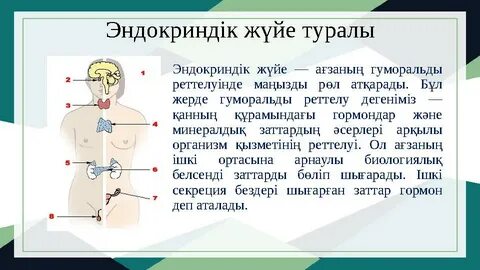 Тығыз леггинстердегі секс балапан порно