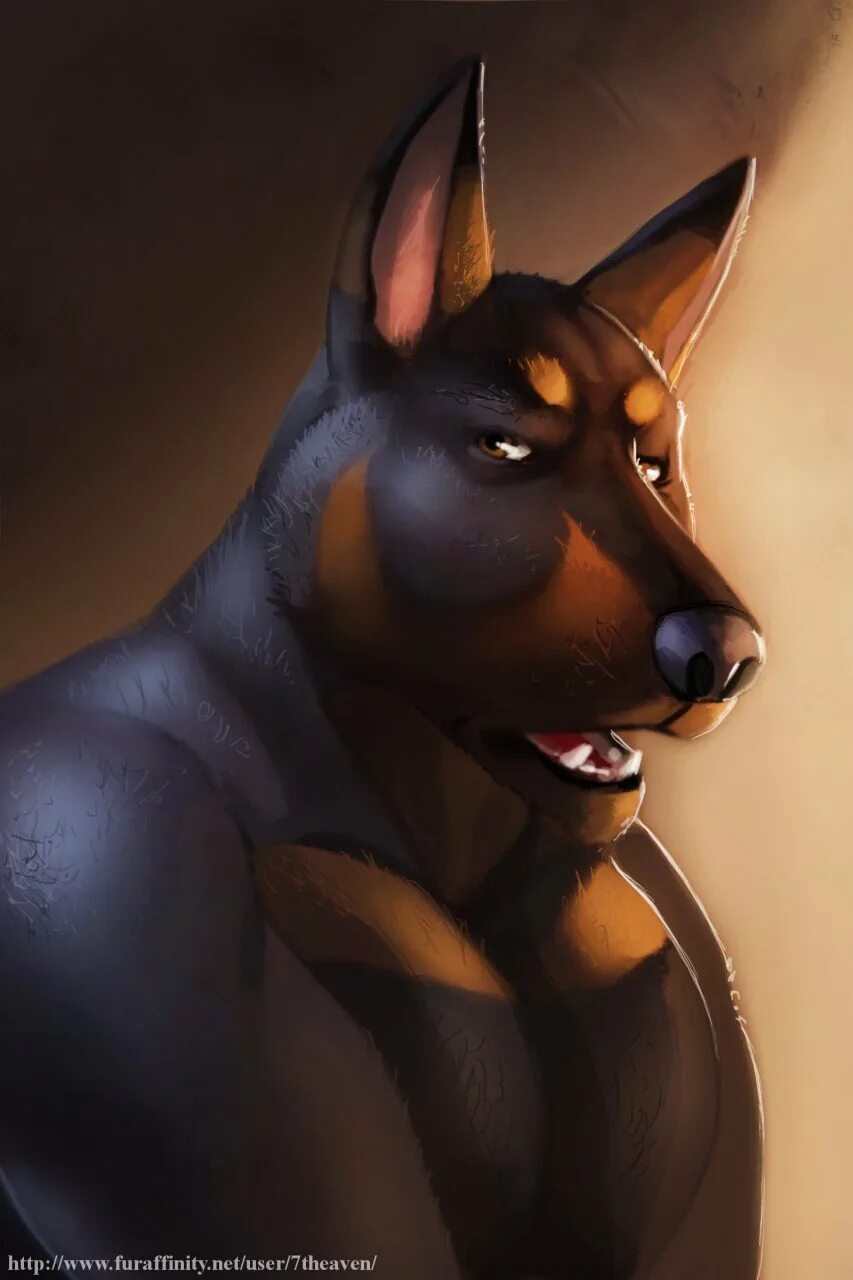 Фурри собака доберман. Доберман-пинчер фурри. Furry doberman. Доберман арт. Фурри доберман девушка.