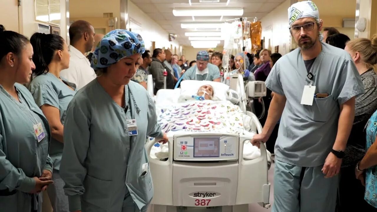 Нордическая ходьба. Try walking in my shoes. Angeles memorial hospital. Honor walk pichers. Honor walk.