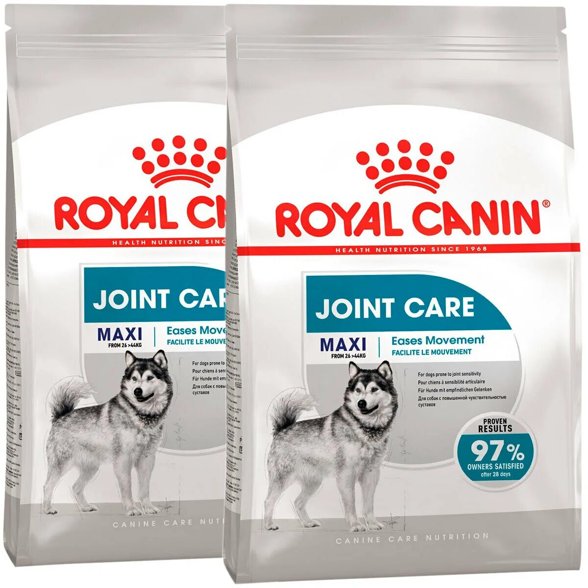 Корм royal canin maxi. Роял Канин макси Джойнт Кеа. Royal Canin Maxi Joint Care. Royal Canin Joint Care для собак. Корм Роял Канин для щенков крупных пород.