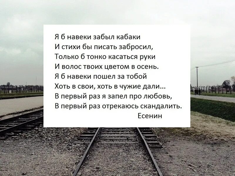 Песня я б пошел за тобой. Забытая стихи. Ты забыл про меня стихи. Забудь стихи. Забудь меня стихи.