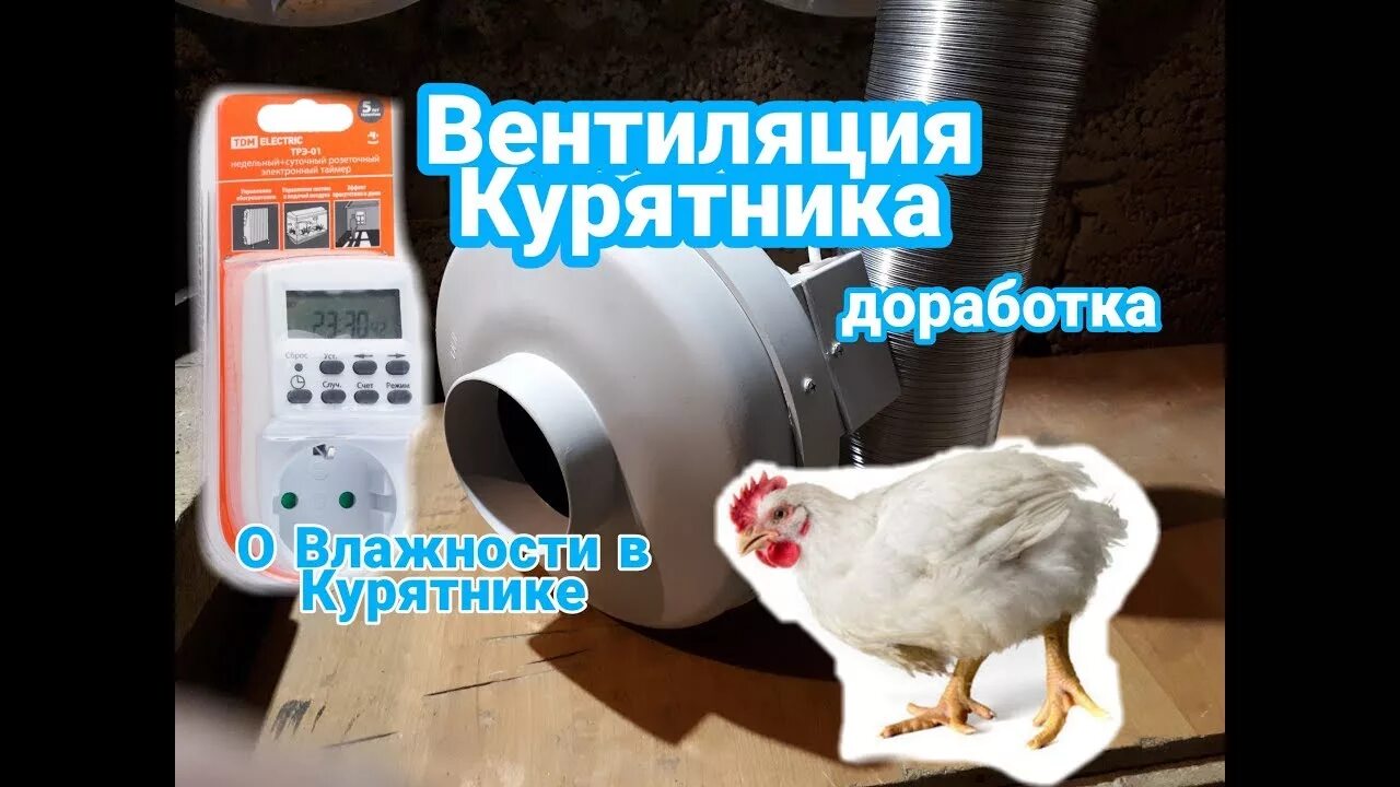 Приточно вытяжная система курятник. В курятнике сырость зимой. Схема вентиляции в курятнике. В курятнике сырость зимой. Влажность в курятнике.