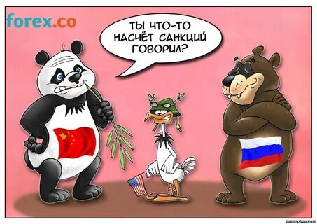 Жду санкций