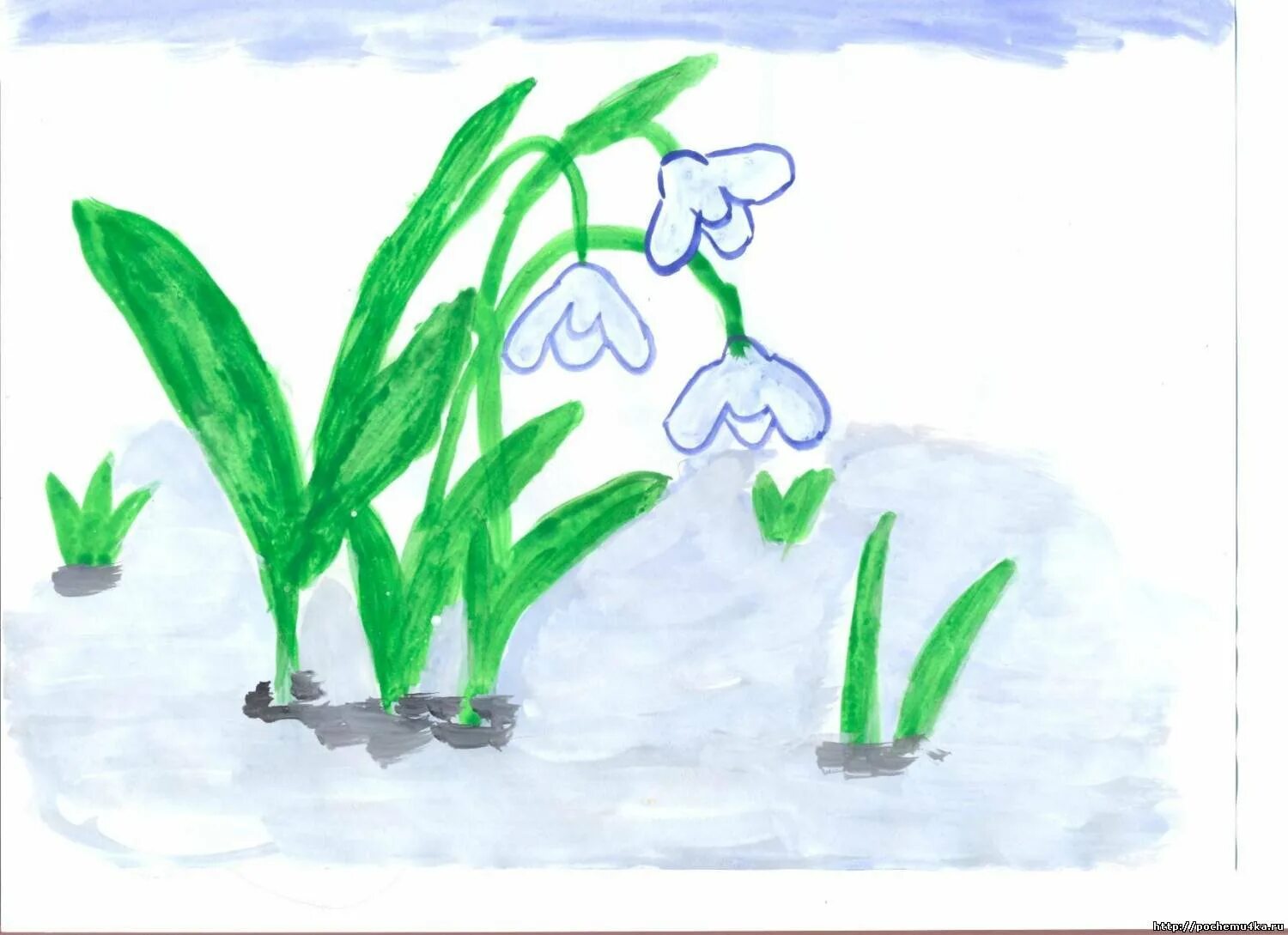 Картинки подснежники для детей в детском. Рисование первоцветы старшая группа. Подснежники рисунок. Рисование первые весенние цветы. Рисование подснежники.