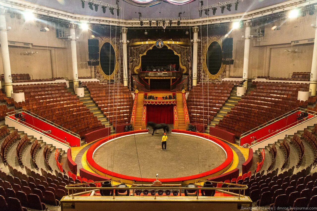 цирк никулина амфитеатр. цирк 9 ряд. цирк на фонтанке 7 ряд. цирк 9 ряд. манеж цирка.