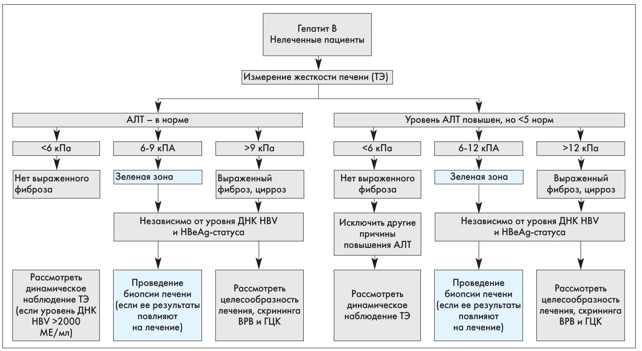 Показатели жесткости печени. Неинвазивные методы диагностики стадий фиброза печени. Неинвазивные методы оценки фиброза печени. Уровень аминотрансфераз в терминальной стадии цирроза печени.