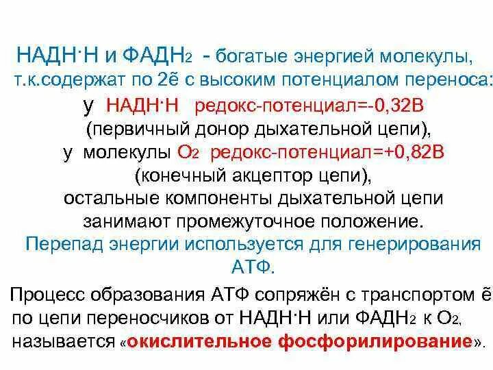 Кин энергия молекул. Потенциальная энергия взаимодействия молекул. Энергия молекул твердых тел. Образование богатых энергией молекул. Vnutreniya energiya.