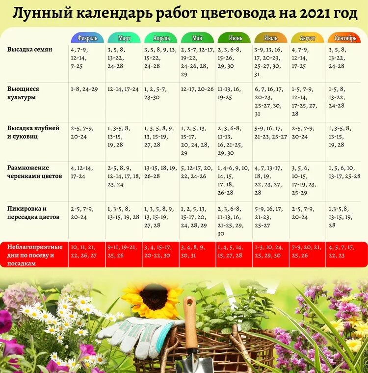 Лунный календарь огородника на март 2024 беларусь. Календарь огородника на 2021 посадочный лунный. Посевной календарь на 2022 год садовода и огородника. Лунный посевной календарь на 2022 год садовода и огородника. Календарь огородника на 2022 лунный посевной.