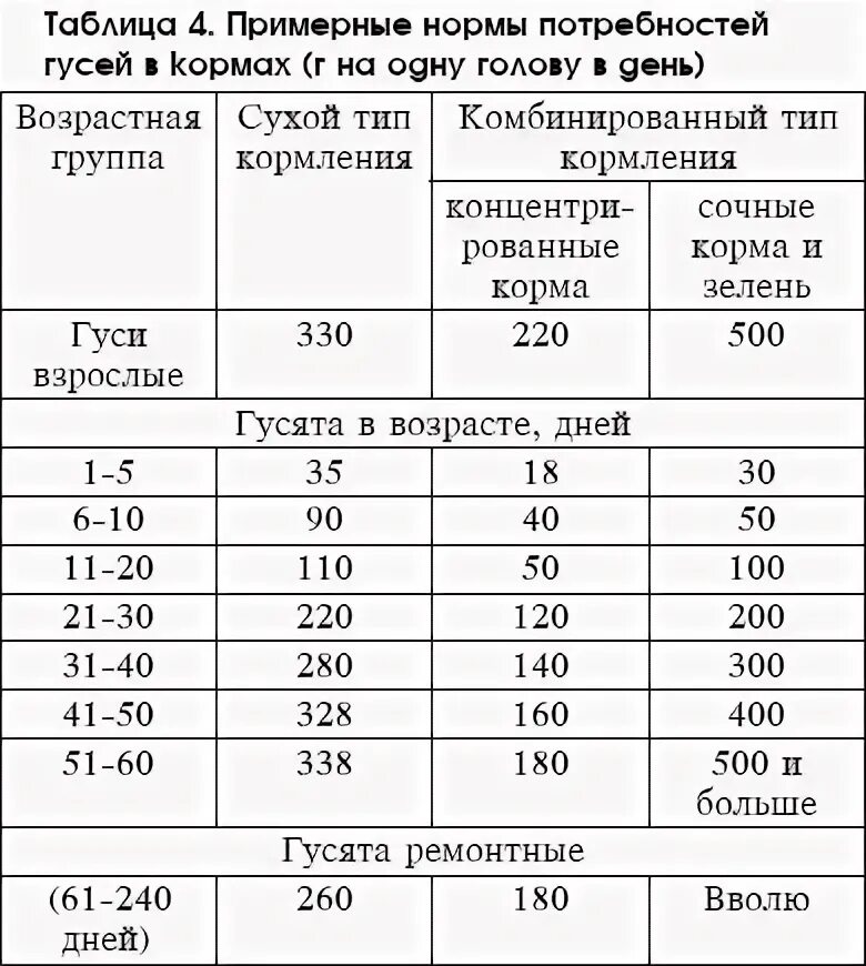 Чем кормить гусей для быстрого. Нормы кормления гусей таблица. таблица кормления гусей комбикормом. таблица комбикорма для гусей. нормы кормления гусей таблица по возрасту.