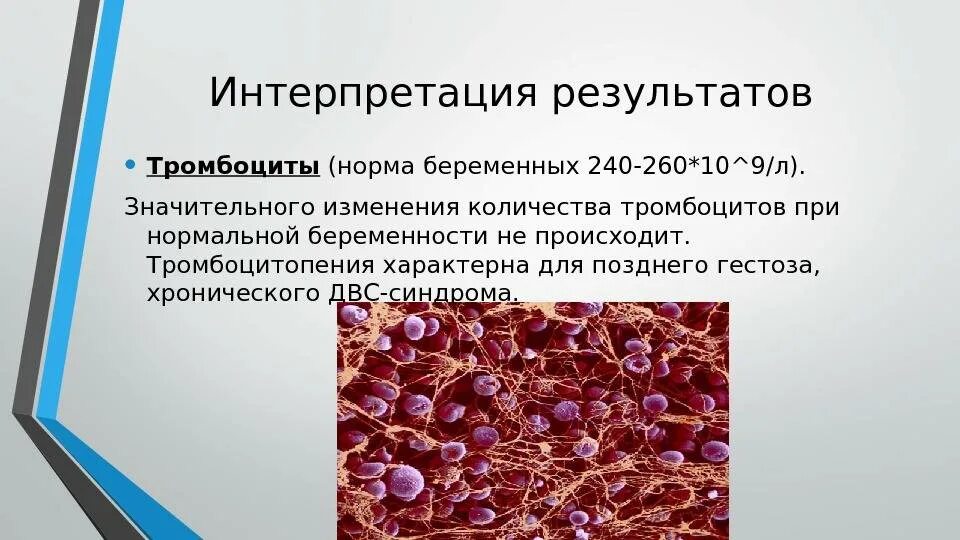 Объем тромбоцитов повышен при беременности. Тромбоциты. тромбоциты при беременности норма. тромбоциты в крови. тромбоциты норма у беременных.
