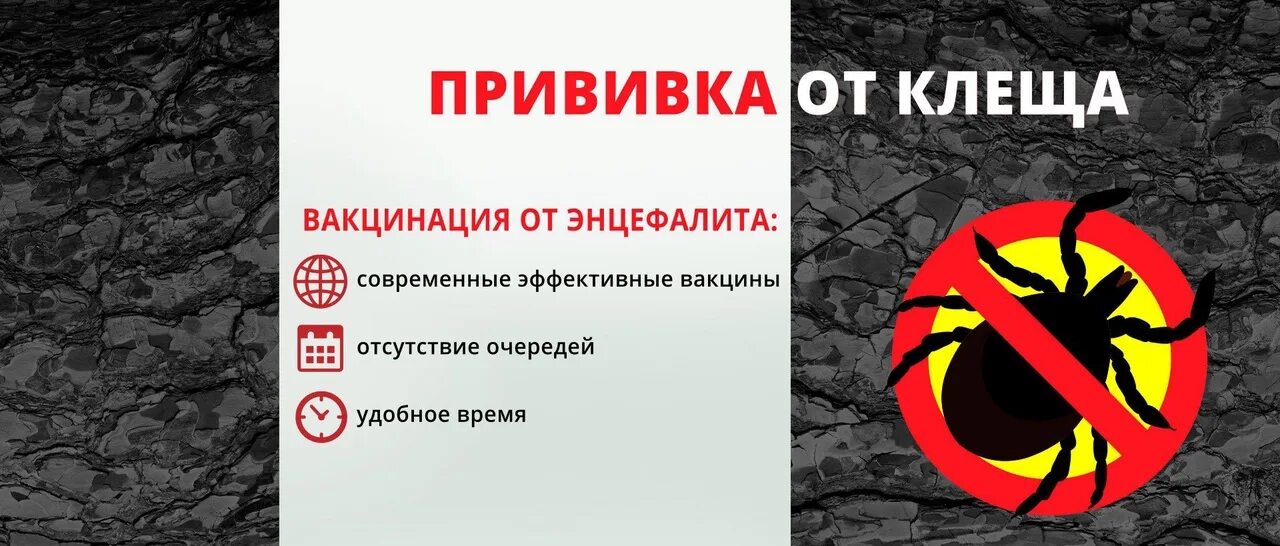 Можно мочить прививку от клеща. Вакцинация от энцефалита. вакцинация от клеща. клещевой энцефалит вакцинация. вакцинируйтесь клещевой энцефалит.